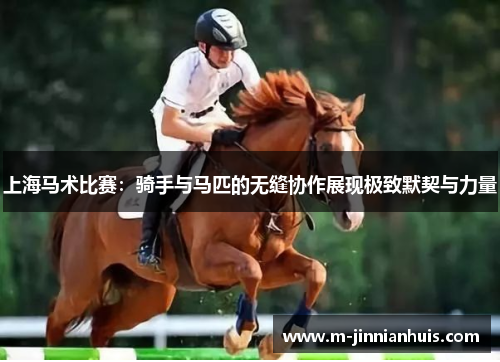 上海马术比赛：骑手与马匹的无缝协作展现极致默契与力量