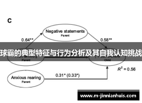 球霸的典型特征与行为分析及其自我认知挑战