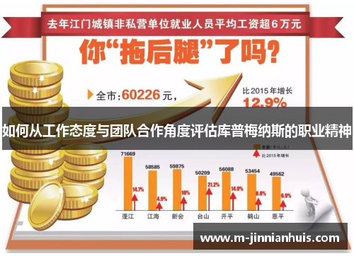 如何从工作态度与团队合作角度评估库普梅纳斯的职业精神