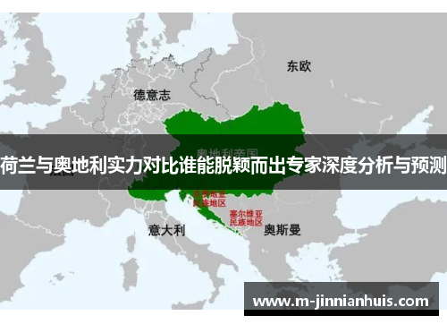 荷兰与奥地利实力对比谁能脱颖而出专家深度分析与预测